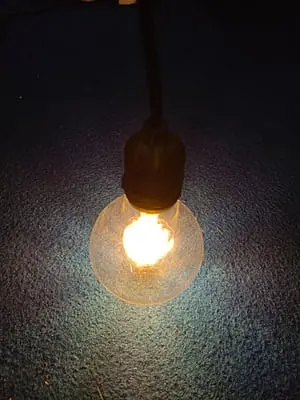 Filament Bulb (CHECK)